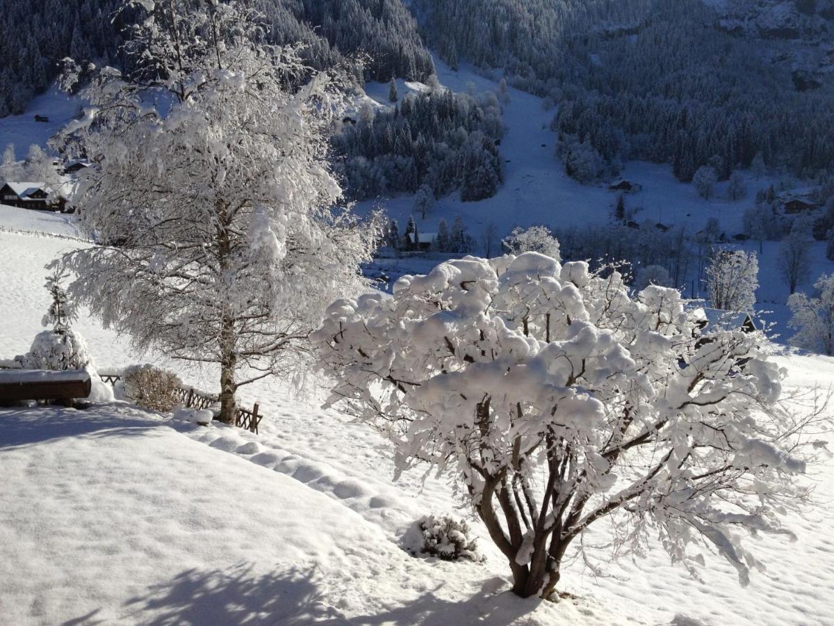 Appartement Bärgsunna-2 Grindelwald